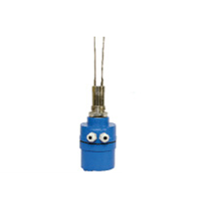 Level Sensors Manufacturer